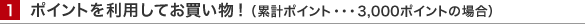 ポイントを利用してお買い物！