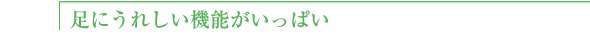 足にうれしい機能がいっぱい
