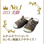 No.1　アーチフィッター 203 美脚