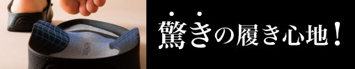 アーチフィッター 405 メディタッチ