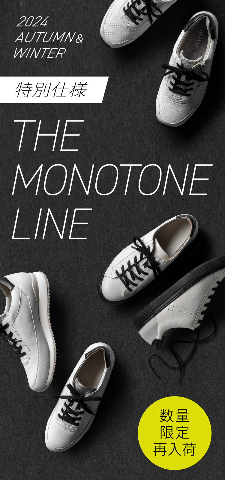 特別仕様 THE MONOTONE LINE 各50足限定