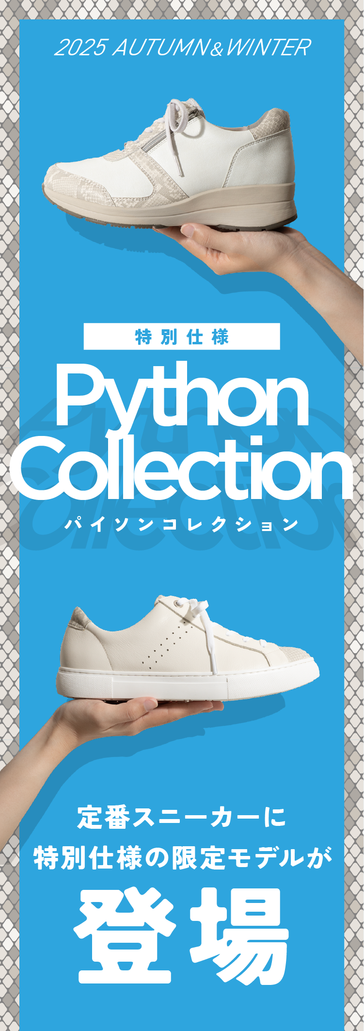 特別仕様 パイソンコレクション