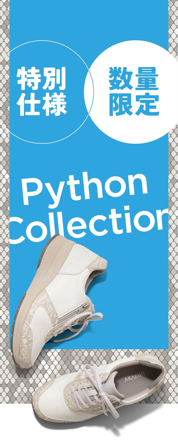 特別仕様 数量限定
