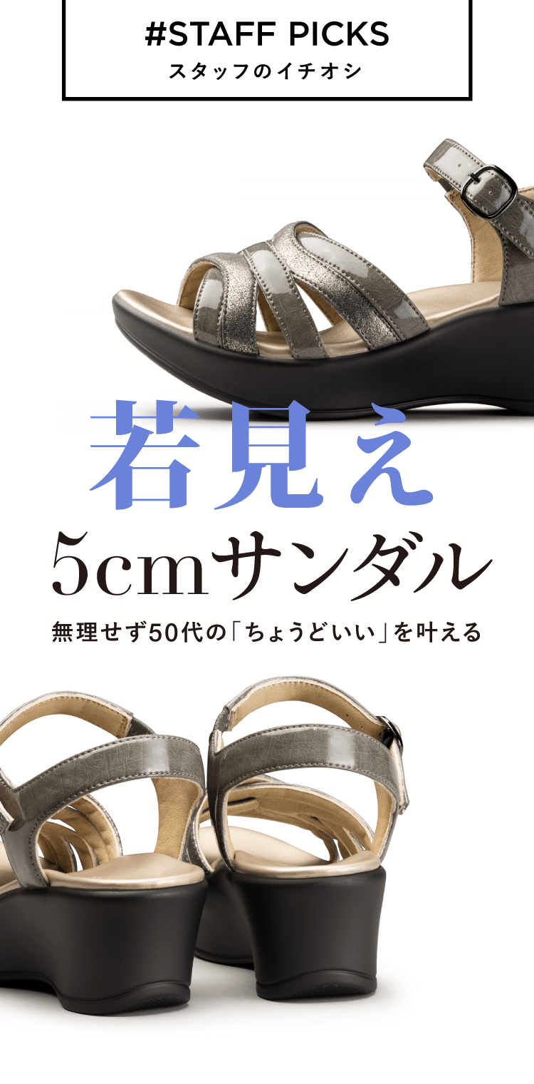 スタッフのイチオシ
