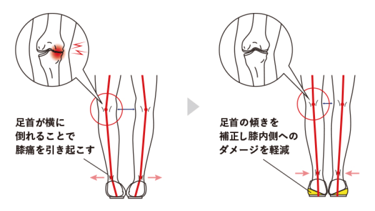 機能説明