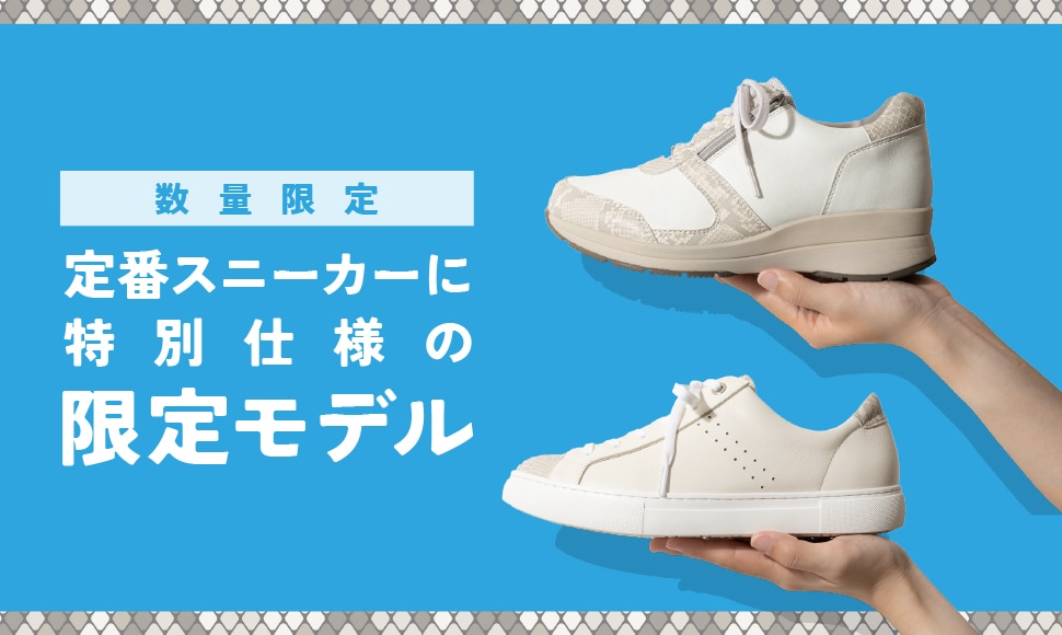 パイソンVMD