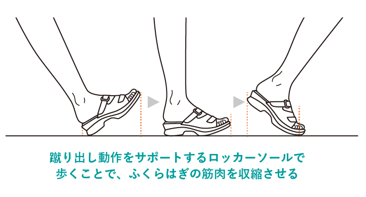 蹴り出し動作をサポートするロッカーソールで歩くことで、ふくらはぎの筋肉を収縮させる